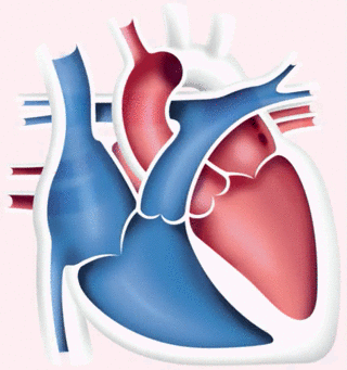lung